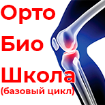 ОртоБиоШкола в Москве: базовый цикл 22-23 сентября